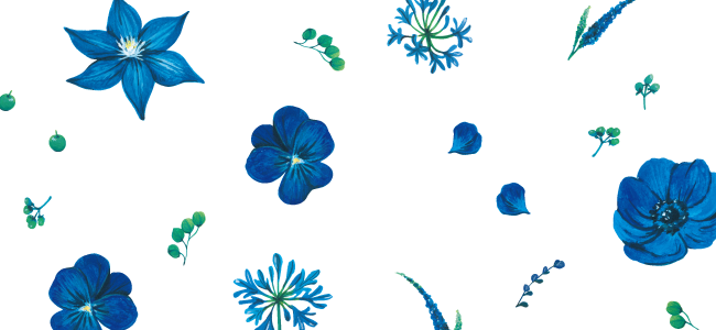 Blue flowers|mocolier