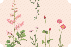 ピンクの花たち|mocolier