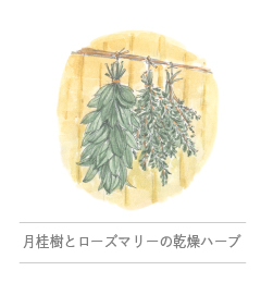 Gekkeiju to Rosemary no kansō herb|めぐるダイアリー