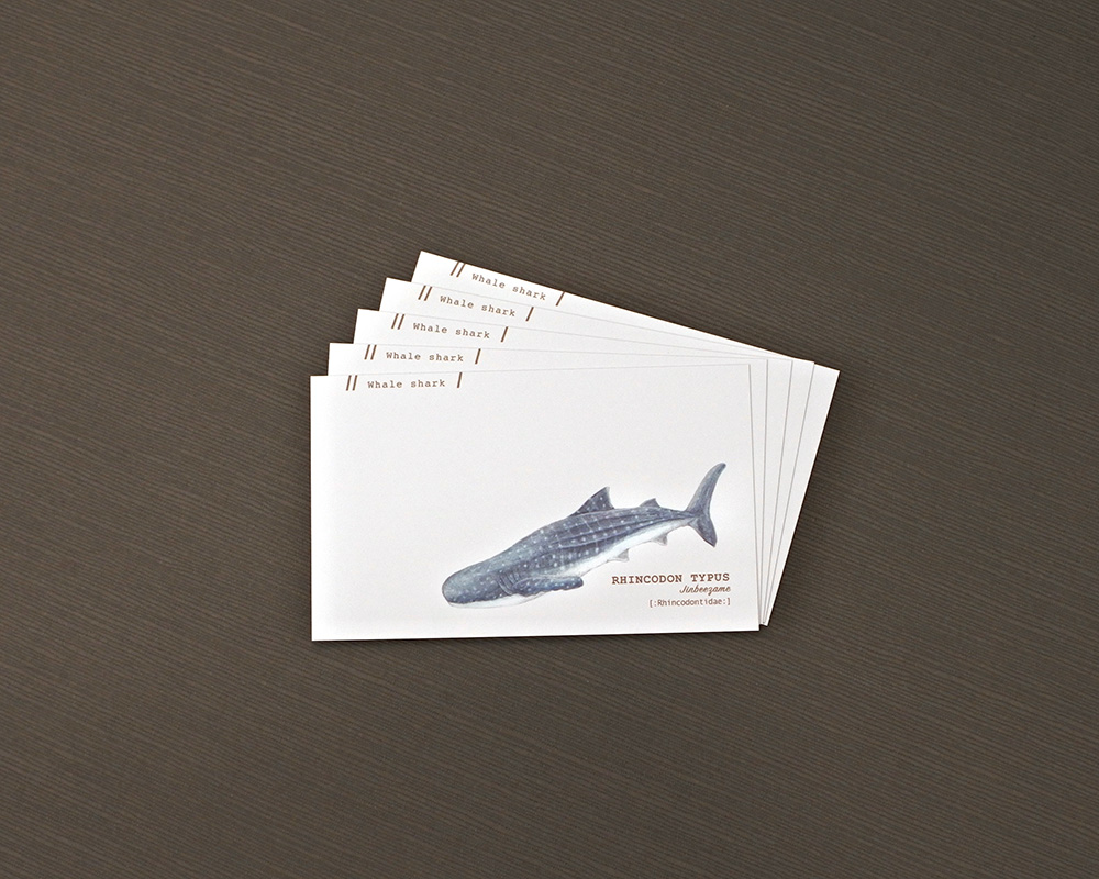 ジンベエザメの名刺メッセージカード