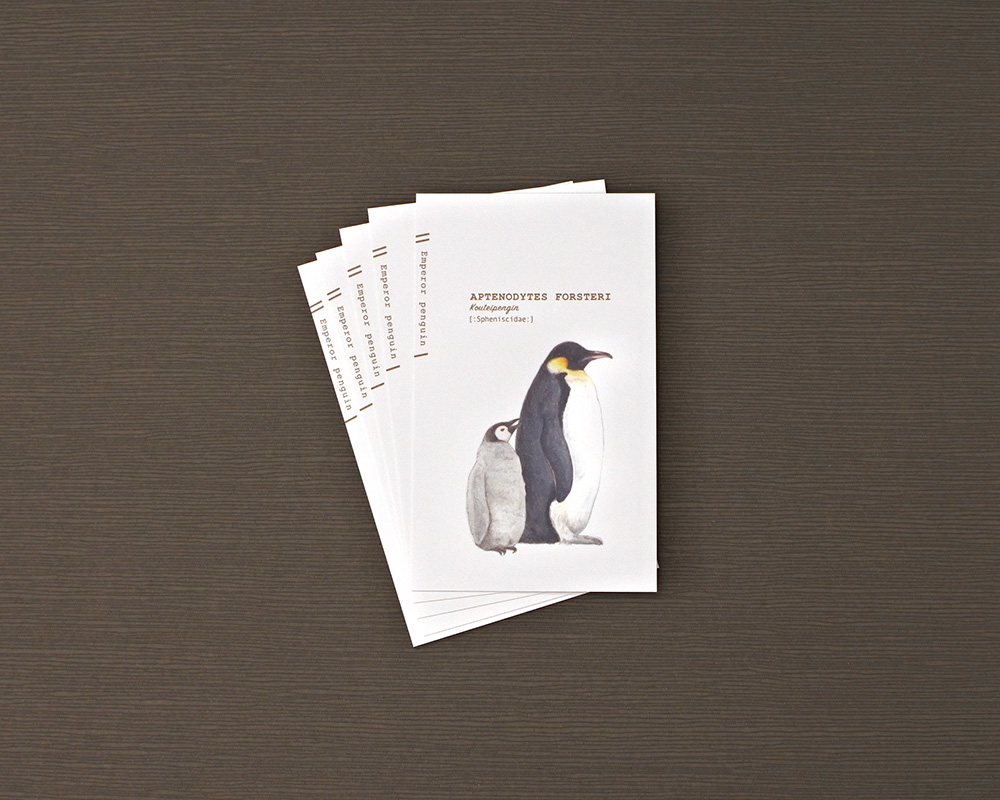 コウテイペンギンの名刺メッセージカード