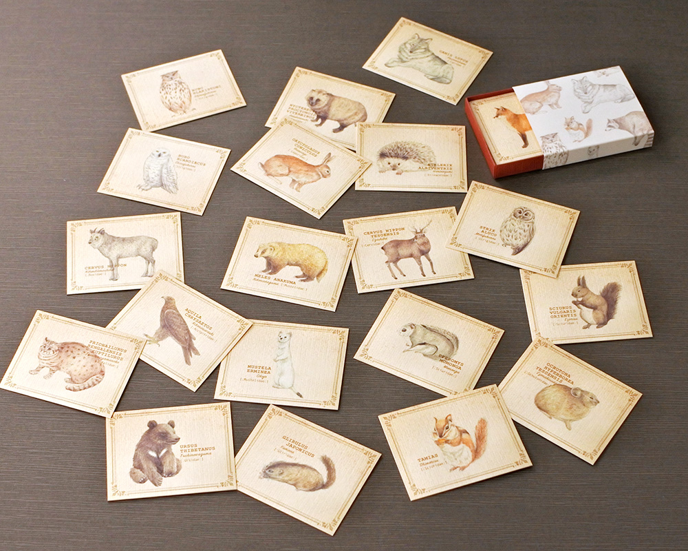 森の動物の小さな図鑑風メッセージカードBOX